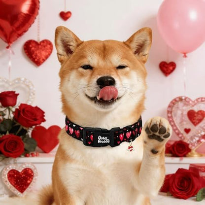 Valentine's Black Base Red Heart Dog Collar for Medium Dogs