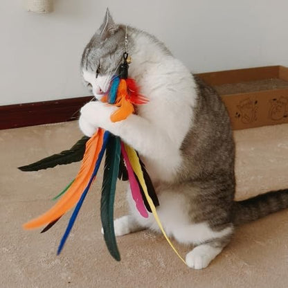 miwoowim 6PCS Cat Wand Toy Refills: 2 Extra-Large & 4 Standard Feathers