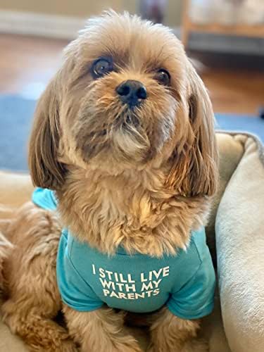Cute Dog Clothes, T Shirt for Medium and Small Dogs Girl Boy,Puppy.Breathable Soft Dog Costume for Pet Dogs Cats, Pet Pullover Jumper, Cat Clothes (XL-(16~20lb), Chest~20", Aqua)