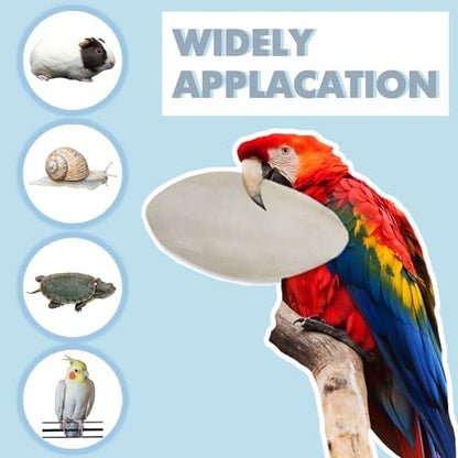 Bird Cuttlebone for Parakeets, Cuddle Bone, Birds Calcium, 5"-5.5", 6 Pcs
