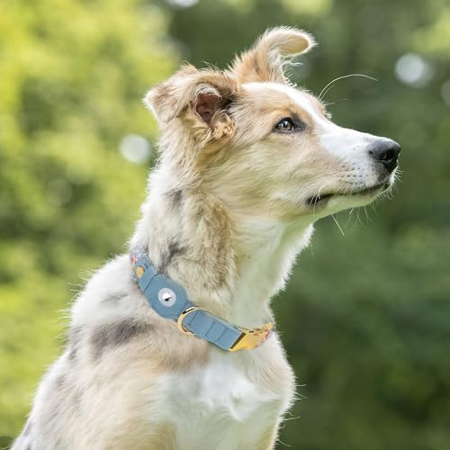 AirTag Dog Collar for Small Medium Large Breed - Adjustable Cute Pattern Dog Collar with Airtag Holder - Soft Leather Tracker GPS Apple Air Tag Pet Collars (X-Large, 20"-25" Neck Fit, Floral)