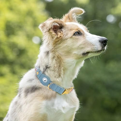 AirTag Dog Collar for Small Medium Large Breed - Adjustable Cute Pattern Dog Collar with Airtag Holder - Soft Leather Tracker GPS Apple Air Tag Pet Collars (X-Large, 20"-25" Neck Fit, Floral)