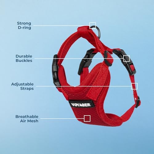 Voyager Step-in Lock Dog Harness - Red, Medium