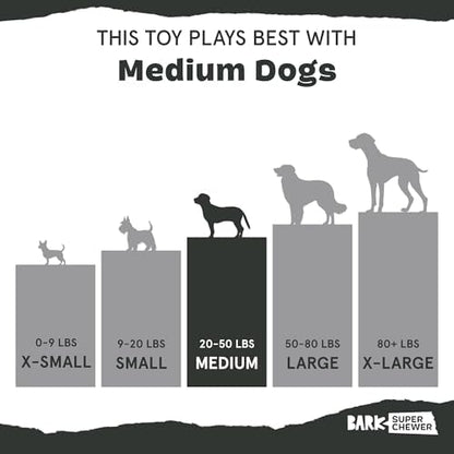 BarkBox Pork Chomp Dog Toy - Medium