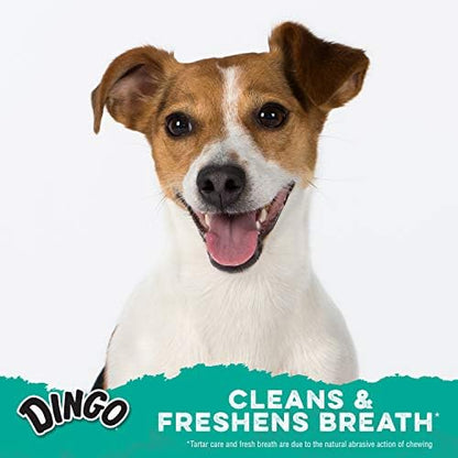 Dingo Dental Spirals Dog Treats With Real Spearmint Flavor, 15 Count