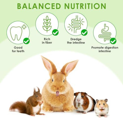 ERKOON 114Pcs Rabbit Chew Toys Timothy Hay Sticks, Guinea Pig Toys for Teeth Natural Molar Sticks Rabbits Treats for Bunnies, Chinchilla, Guinea Pigs, Gerbil, Hamster