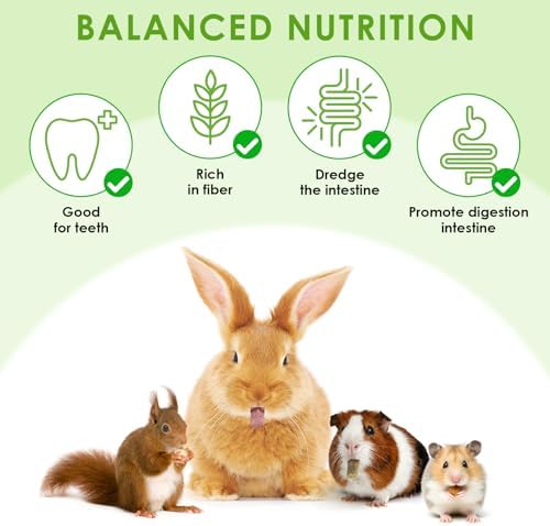 ERKOON 38Pcs Rabbit Chew Toys Timothy Hay Sticks, Guinea Pig Toys for Teeth Natural Molar Sticks Rabbits Treats for Bunnies, Chinchilla, Guinea Pigs, Gerbil, Hamster