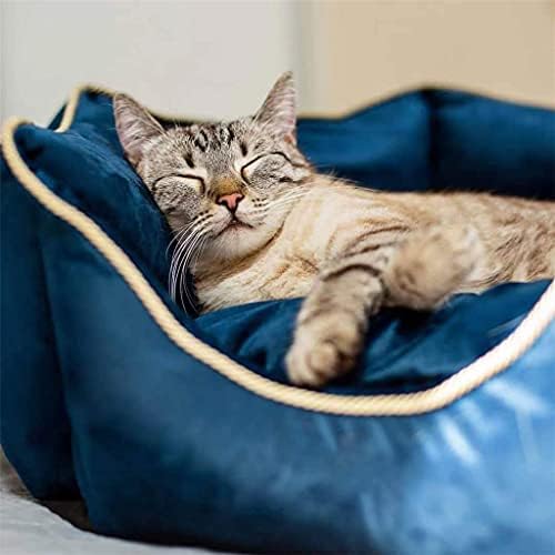 Winter Cats Pet Bed Warm Cats Bed Comfortable Dog Bed Soft Puppy Cats Bed Small Dog Cats Litter Sofa Pet Supplies(Black-JoJo's Bizarre Adventure1,Small)