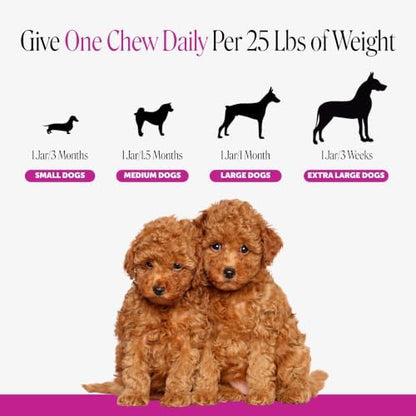 Pet Honesty Vet Recommended Puppy Multivitamin, 90 Ct, Duck