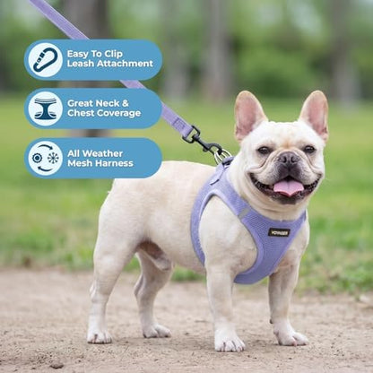 Best Pet Supplies Voyager Step-in Air All Weather Mesh Harness and Reflective Dog 5ft Leash Combo with Neoprene Handle, for Small, Medium and Large Breed Puppies - Lavender, XXS
