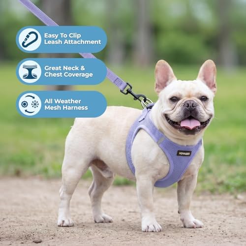 Best Pet Supplies Voyager Step-in Air All Weather Mesh Harness and Reflective Dog 5ft Leash Combo with Neoprene Handle, for Small, Medium and Large Breed Puppies - Lavender, XXXS