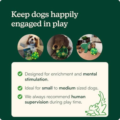 Reggie Snuffle Ball for Dogs | Interactive Treat Dispensing Dog Enrichment Toys | Reduces Boredom, Stress & Hyperactivity | Snuffle Toys for Dogs | Durable & Washable Dog Puzzle Toy I Green
