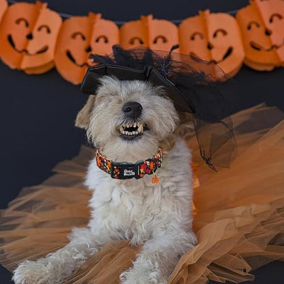 Dog Collar-Fall Leaf Pumpkin Print Adjustable Pet Collar Holiday Comfortable Puppy Collars Cute Sturdy Lightweight Quick-Release Buckle Collars for Small Dogs