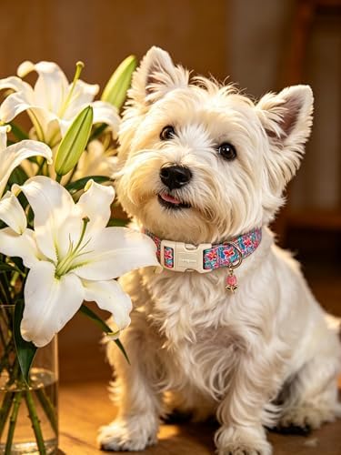 Lionet Paws Floral Dog Collar Summer Lily Collars with Pink Lilies Pattern Pendant - Female Girl Dog Collar for Medium Large Dogs L