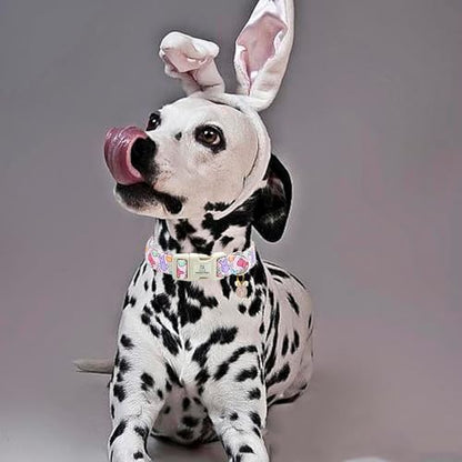 Lionheart glory Easter Dog Collar Colorful Collar for Small Dog Collars Easter Egg Print Dog Collars Spring Female or Male Pet Gift Adjustable Heavy-Duty Holiday Dog Collar Plastic Buckle