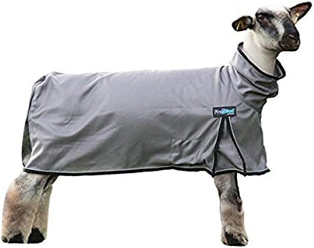 ProCool™ Sheep Blanket with Reflective Piping, Small, Gray