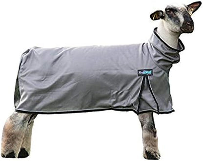 ProCool™ Sheep Blanket with Reflective Piping, Extra Small, Gray