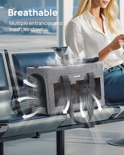 Pecute Airline Approved Cat Carrier, Pet Carrier Soft-Sided, Portable Dog Carrier with Stable Structure, TSA Approved Pet Carrier for Pets Less Than 12lbs, Cat Carrier Bag Suitable for Travel, Gray