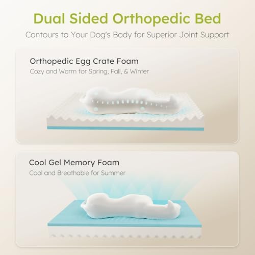 CWAWZ Dog Beds for Large Dogs, Orthopedic Dog Bed with Cooling Gel Memory Foam, Waterproof Large Pet Bed with Removable Washable Cover, 36" Pet Sofa Couch Dutch Velvet with Bone Toy, Peach Pink