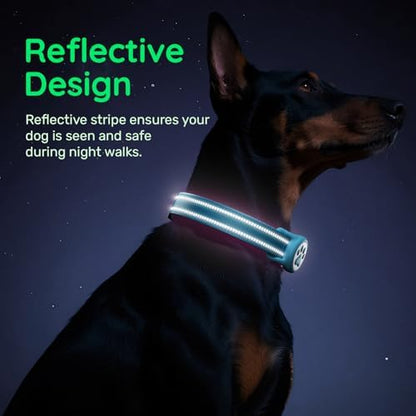 Premium Airtag Dog Collar，with IP68 Waterproof AirTag Holder,Blue,S