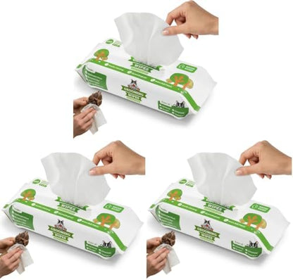 Pogi’s Dog Grooming Wipes – Hypoallergenic Pet Wipes for Paws, Body & Butt – Cleaning & Hydrating, Green Tea Scent, 100 Count (Pack of 3)
