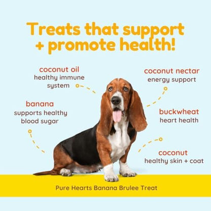 Cocotherapy Pure Hearts Coconut Cookies – Banana Brulee, (1 Pouch), 5 Oz.