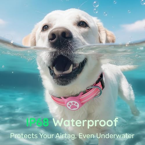 Premium Airtag Dog Collar，with IP68 Waterproof AirTag Holder,Hotpink,S