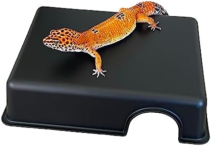 Reptile Hide Box, Small Animal Hideout, Plastic Hide cave for Leopard Geckos, Small Snakes, Juvenile Ball Pythons, Lizards, hognose Snakes, cornsnakes (Large)