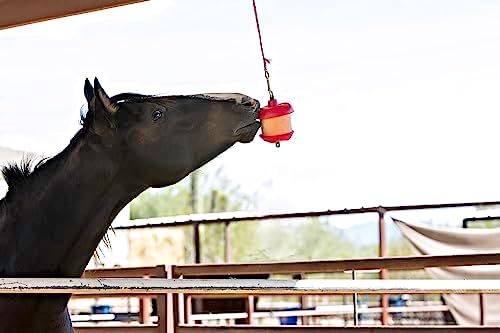 Horsemen's Pride Treat Refill for Stall Snack Holder Apple (Pack of 4)