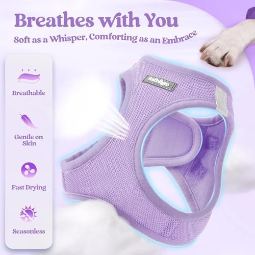 rabbitgoo Dog Harness Medium Sized and Leash Set, Step-in Puppy Pet Vest