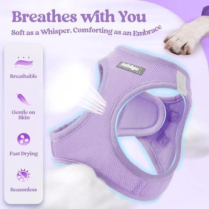 rabbitgoo Dog Harness Small Sized and Leash Set, Step-in Puppy Pet Vest