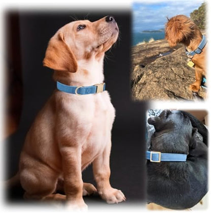 Soft Corduroy Fibric Dog Collar with High Grade Metal Buckle, for Medium Dogs.(Blue,Medium:12-19")