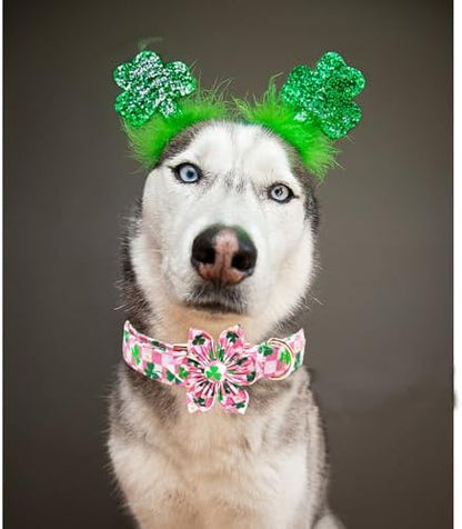 Trefoil Plaid Dog Collar with Flower for X-Small Female Dogs