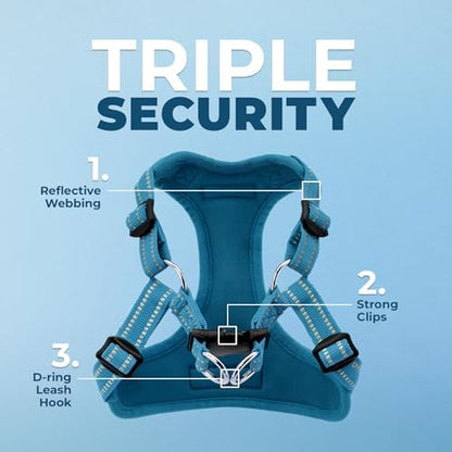 Voyager Step-in Flex Adjustable Dog Harness - Turquoise, X-Large