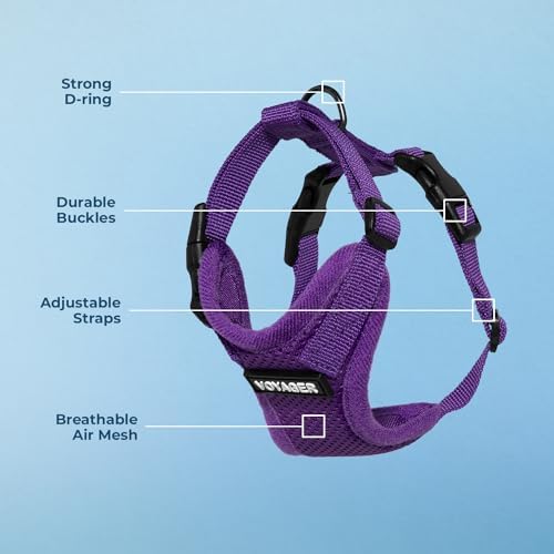 Voyager Step-in Lock Dog Harness - Purple, Large