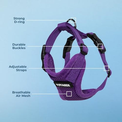 Voyager Step-in Lock Dog Harness - Purple, X-Large