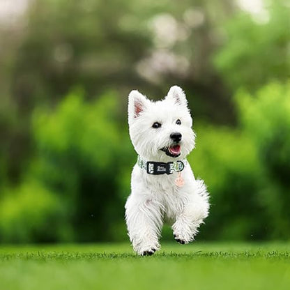 Dog Collar-Cute Dill Print Adjustable Pet Collars Comfortable Spring Summer Cotton Puppy Collar Durable Gift for X-Small Dogs