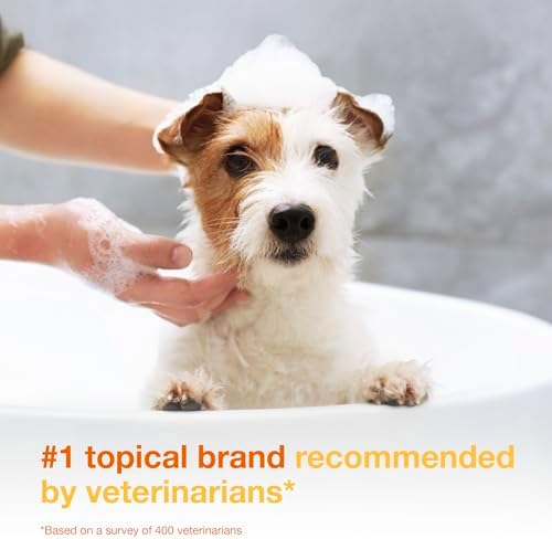 Douxo S3 PYO Chlorhexidine Shampoo (6.7 oz) & Mousse (5 fl oz) for Dogs