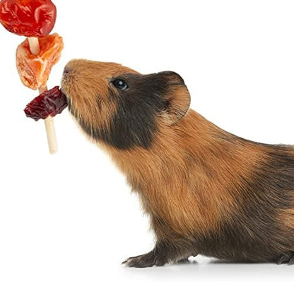 Wild Harvest Fruit Kabobs, 6 Count, for Pet Rabbits, Guinea Pigs, Hamsters, Gerbils, Mice and Rats