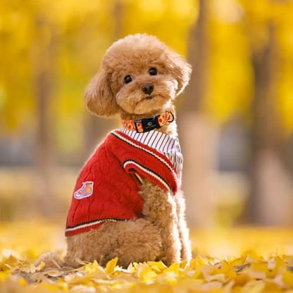 Lionet Paws Orange Dogs Collar Fall, Red Leaves Collars with Quick Release Buckle for Boy and Girl Female Dogs, Medium, Neck 13.5-22 inches