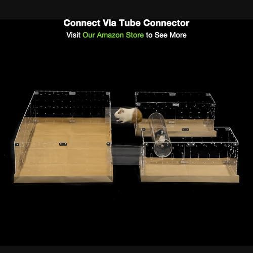 GuineaLoft™ Model-C2 Acrylic Cage - Small 2x1ft Open Cage