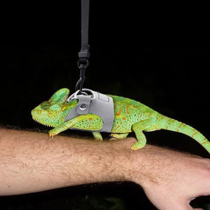 3PCS Bearded Dragon Harness and Leash Set | 3 Size Adjustable Reptile Leash