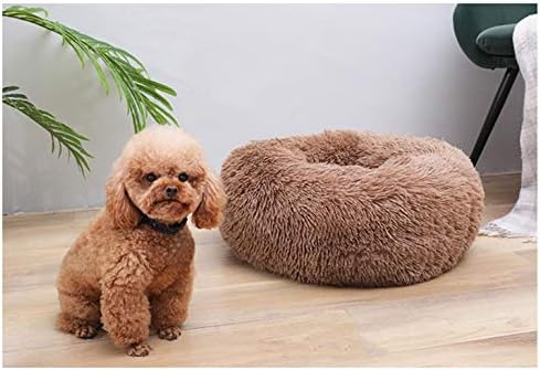Cat Bed for Indoor Cats,Mini Plush Self Warming Kitten Bed, 20 Inch