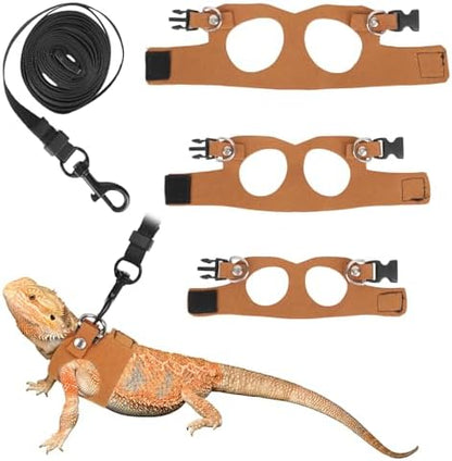 Bearded Dragon Leash & Harness Set
