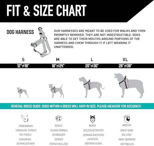 Wolfgang Heavy Duty Adjustable Dog Harness, Pull-Tested to Over 800 lbs for Walking & Training, LostArt Print, Large