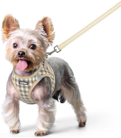 rabbitgoo Dog Harness Small Sized and Leash Set, Step-in Puppy Pet Vest