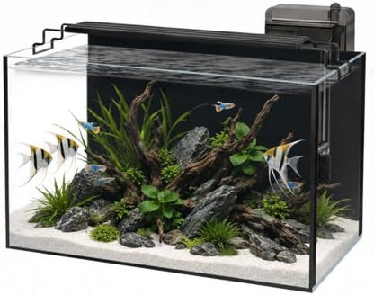10 Gallon Glass Aquarium Kit, Rimless Fish Tank with LED & Filter, Black