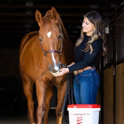 MVP Exceed 6-Way High Level Performance Horse Support Pellets. Joint, Hoof, Hair, Gastric, Digestion and Muscle Support (16lb).