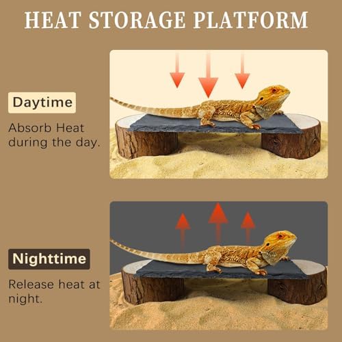 Bearded Dragon Basking Platform,Reptile Slate Basking Rock,Small