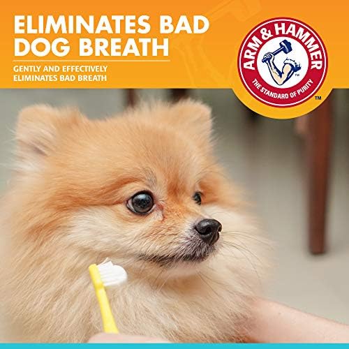 Arm & Hammer Fresh Breath Enzymatic Dog Toothpaste, Chicken, 2.5 Oz, 72-Pk
